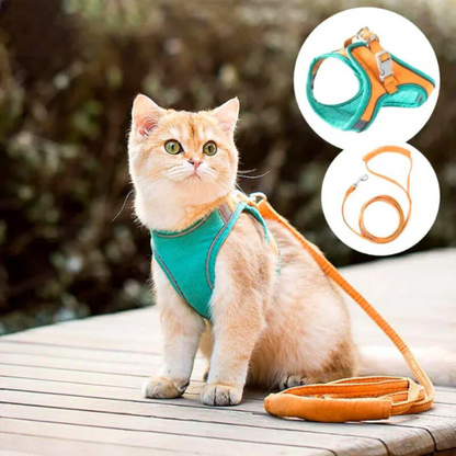 Comfortable and secure cat harness - Ideal for outings 