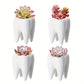 Wszechstronny ceramiczny wazon dentystyczny