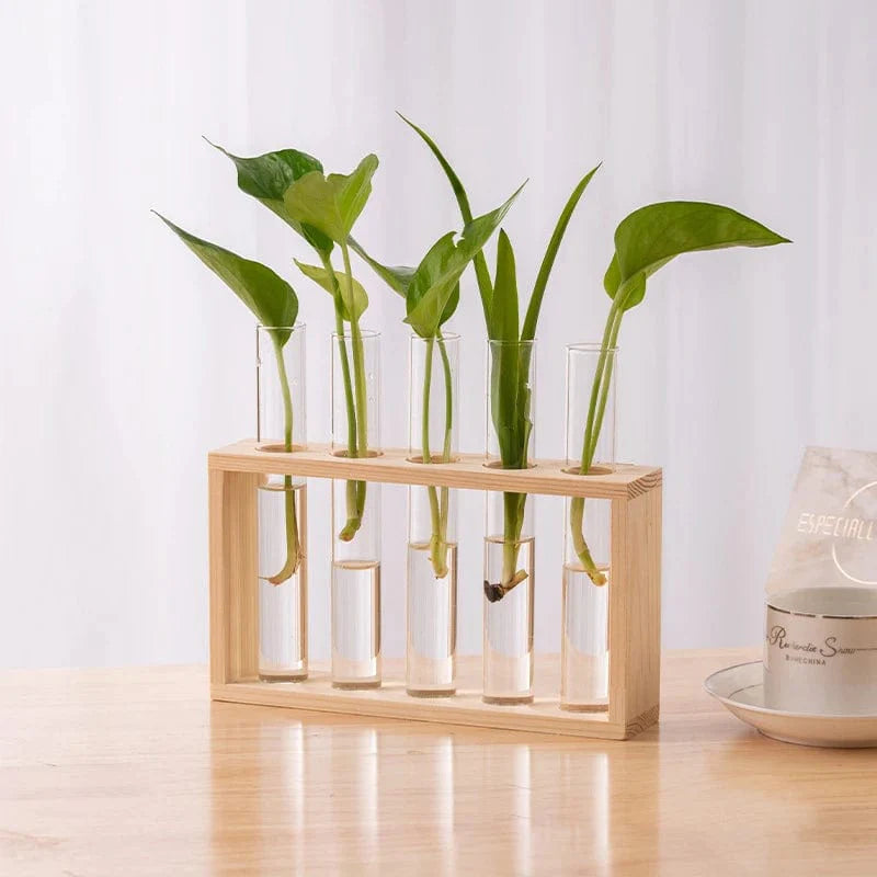 Aesthetic Hydroponic Tube Vase