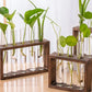 Aesthetic Hydroponic Tube Vase